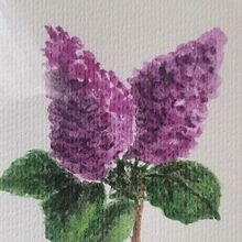 Zahova. Bloom. Art